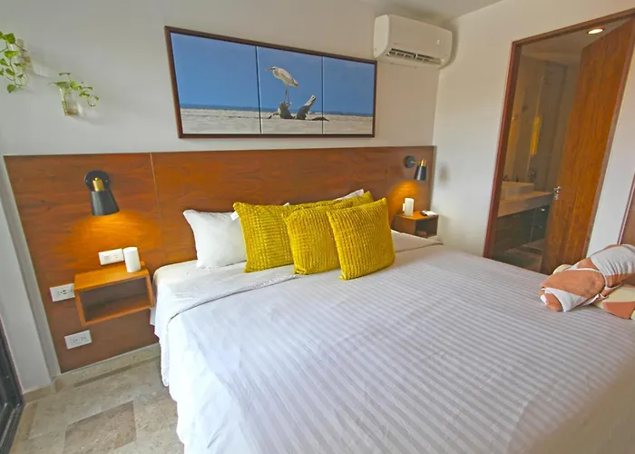 Zilha 42 Playa del Carmen